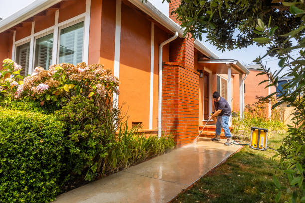 Best Local Pressure Washing Services  in Myrtle Grove, FL
