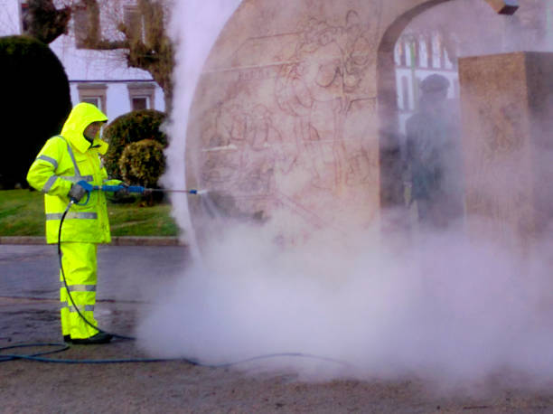 Best Roof Power Washing Services  in Myrtle Grove, FL